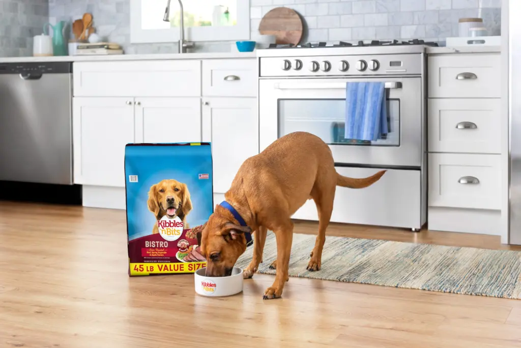 A dog eating Kibbles 'n Bits in the kitchen